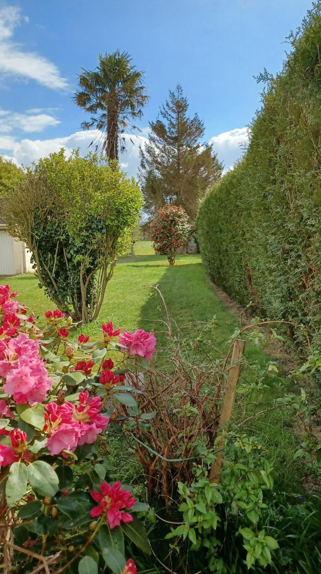 La Bretagne Ca Vous Gagne Villa Ploufragan Dış mekan fotoğraf